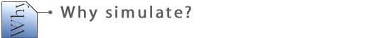 Why simulate?